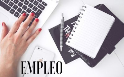 Monitor/a de Comedor Escolar